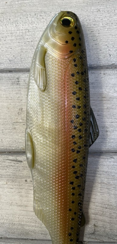 Weedless Swimbait 8” wedge tail Color Rainbow Trout Lot Of 1 Bait gallery