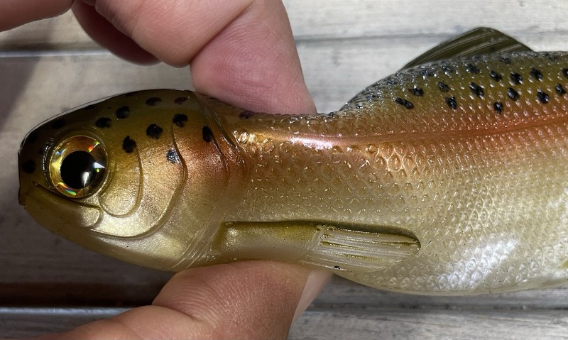 Weedless Swimbait 8” wedge tail Color Rainbow Trout Lot Of 1 Bait gallery
