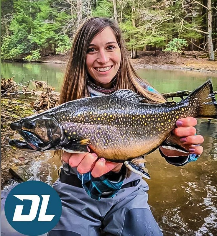 Fishing Lures - Dynamic Lures HD TROUT, Crankbait, 2.25" Multiple Color Patterns gallery