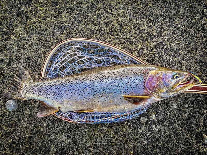 Fishing Lures - Dynamic Lures HD TROUT, Crankbait, 2.25" Multiple Color Patterns gallery