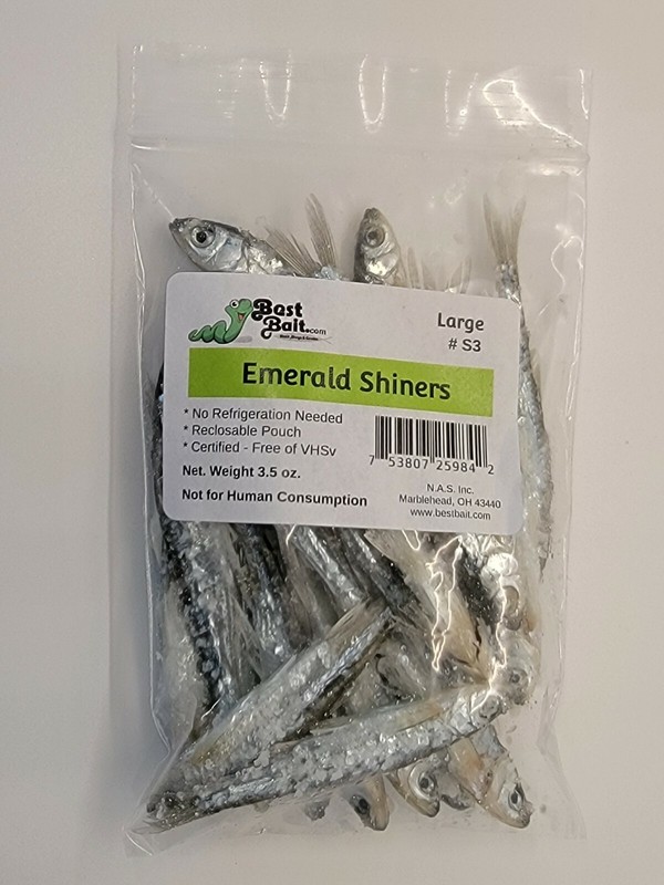 Bestbait Salted Emerald Shiners Preserved Minnows Free Shipping VHSv Free gallery