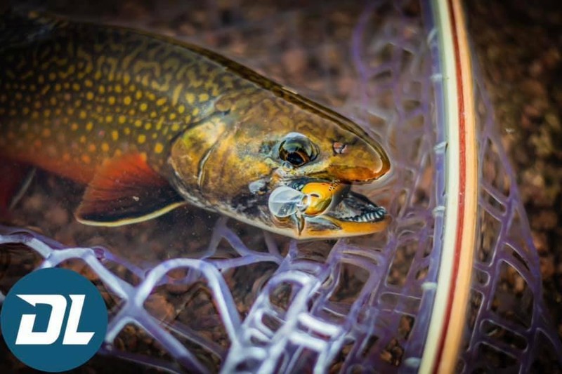 Fishing Lures - Dynamic Lures HD TROUT, Crankbait, 2.25" Multiple Color Patterns gallery
