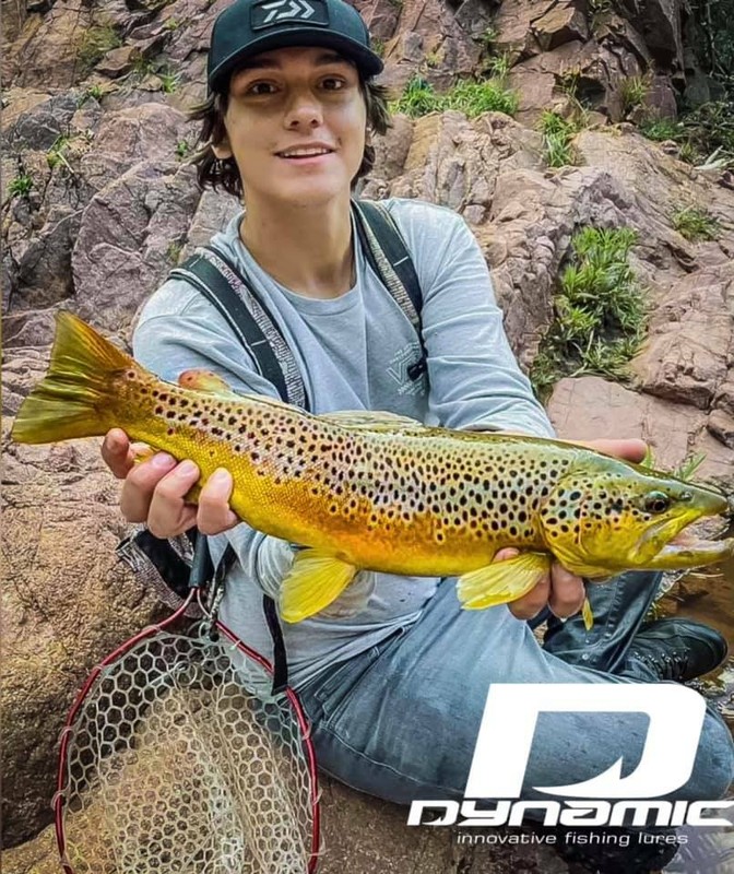 Fishing Lures - Dynamic Lures HD TROUT, Crankbait, 2.25" Multiple Color Patterns gallery