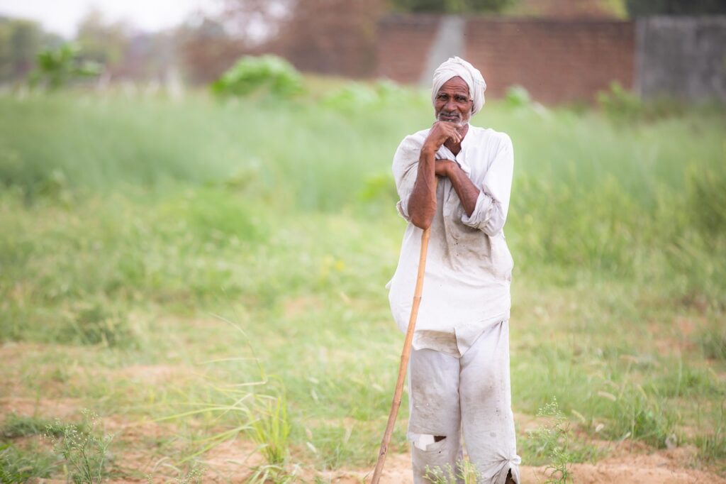 man, farmer, field, old man, indian, asian